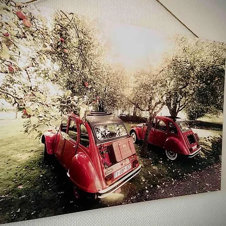 -----sauna Detente -----